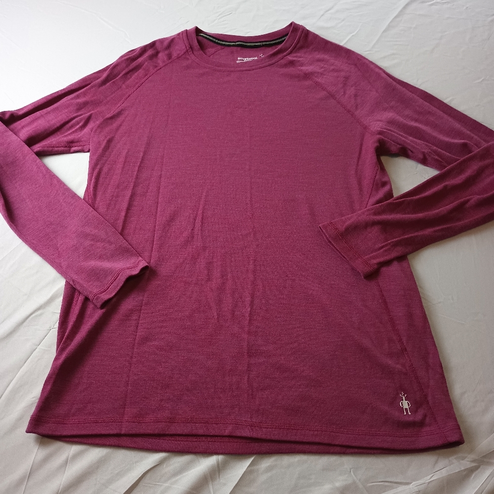SMARTWOOL Merino 250 t-shirt Plus size 2X Long sleeve base layer